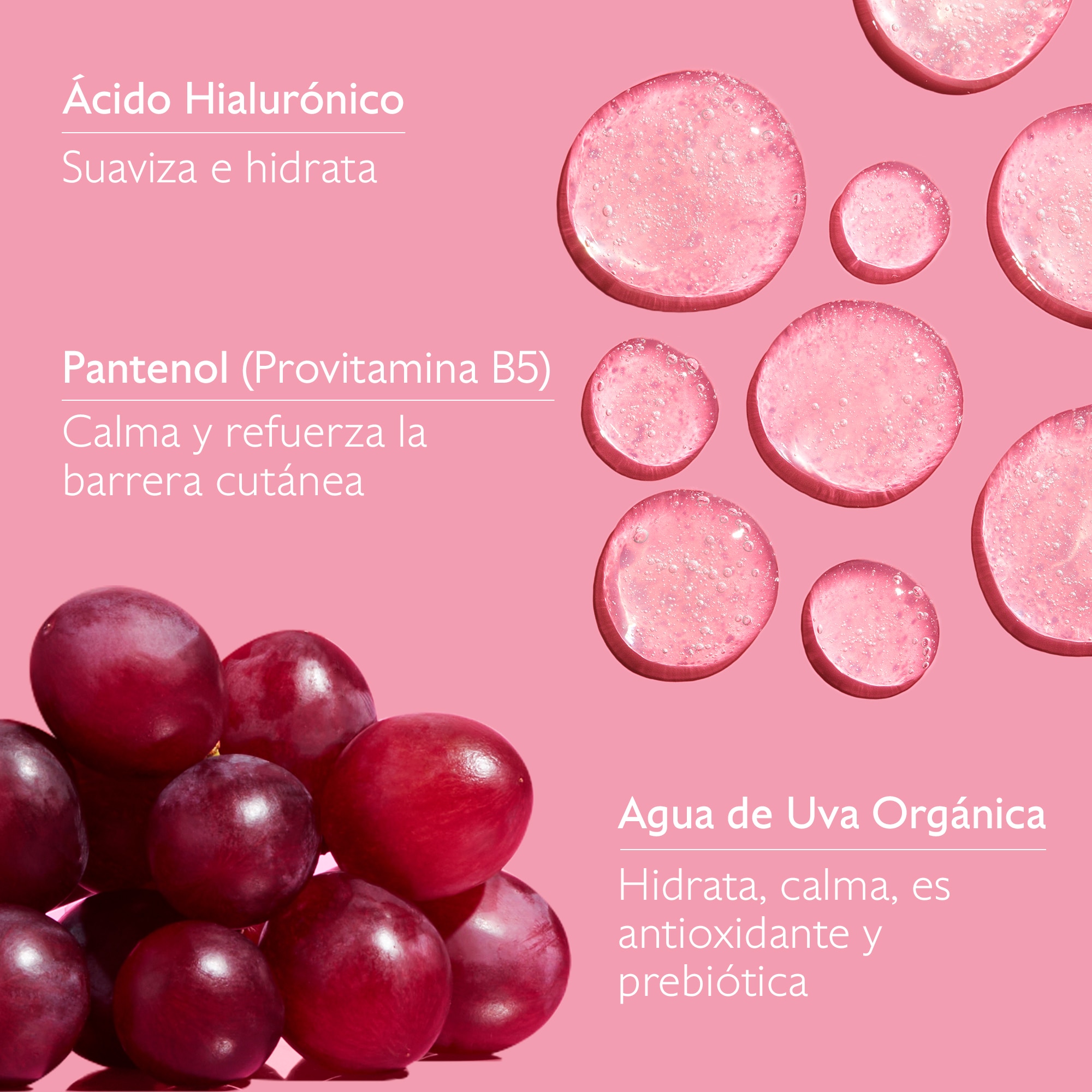 VINOHYDRA GEL LIMPIADOR HIDRATANTE (GEL LIMPIADOR HIDRATANTE)